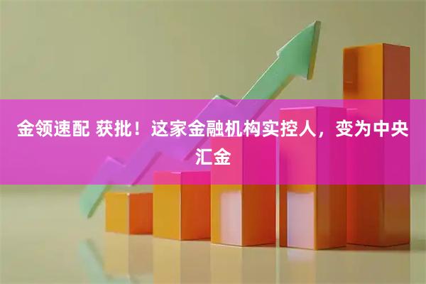 金领速配 获批！这家金融机构实控人，变为中央汇金